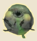 Tick 蜱虫